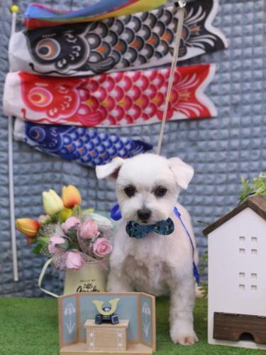 20230531うららちゃん